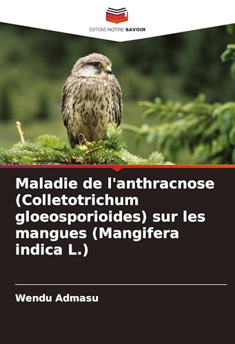 Maladie de l'anthracnose (Colletotrichum gloeosporioides) sur les mangues (Mangifera indica L.) von VDM Verlag
