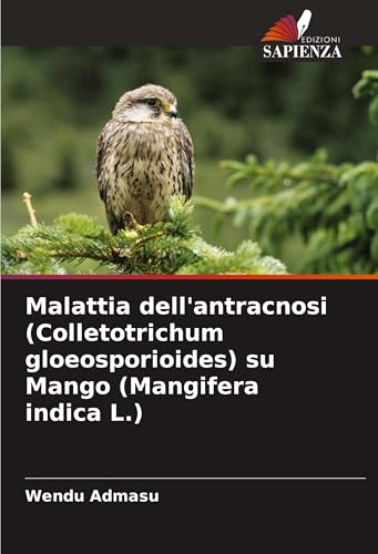 Malattia dell'antracnosi (Colletotrichum gloeosporioides) su Mango (Mangifera indica L.) von VDM Verlag