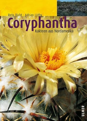 Coryphantha. Kakteen aus Nordamerika