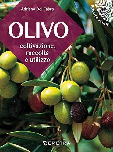 Olivo: Coltivazione, raccolta e utilizzo (Pollice verde) von Demetra