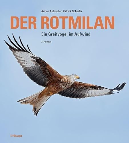 Der Rotmilan: Ein Greifvogel im Aufwind von Haupt Verlag