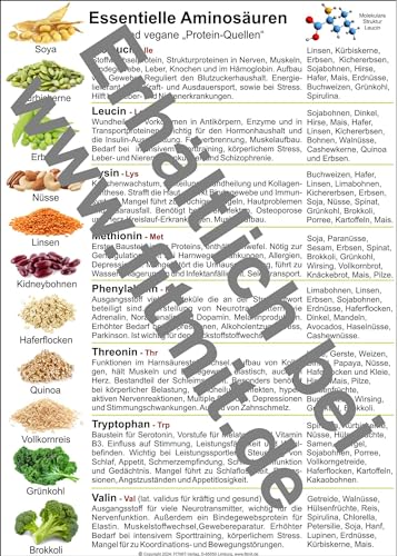 Aminosäure und vegane Protein-Quellen: Übersichtskarte A4 (Lehrtafeln: Übersichtskarten) von Aeckersberg, Ingrid