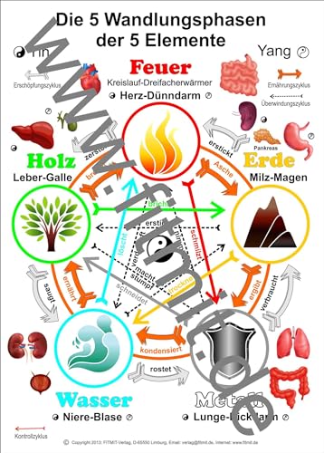 Die 5 Wandlungsphasen der 5 Elemente: Übersichtskarte DIN A4 (Lehrtafeln: Übersichtskarten) von Aeckersberg, Ingrid