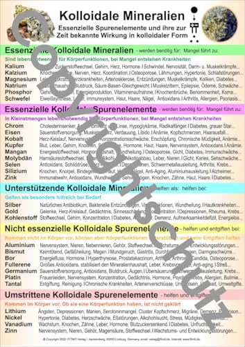 Kolloidale Mineralien: Übersichtskarte DIN A5 (Lehrtafeln: Übersichtskarten) von Fitmit-Verlag