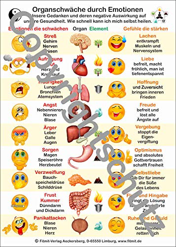 Organschwäche durch Emotionen: Lehrkarte A4 von Aeckersberg, Ingrid