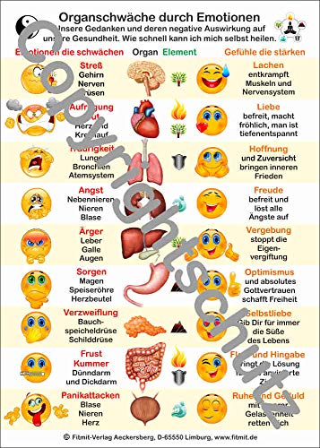 Organschwäche durch Emotionen: Lehrkarte A5 (Lehrtafeln / Übersichtskarten)