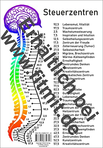 Steuerzentren Wirbelsäule: A5 (Lehrtafeln: Übersichtskarten) von Aeckersberg, Ingrid