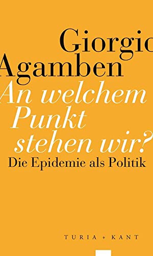 An welchem Punkt stehen wir?: Die Epidemie als Politik von Turia + Kant