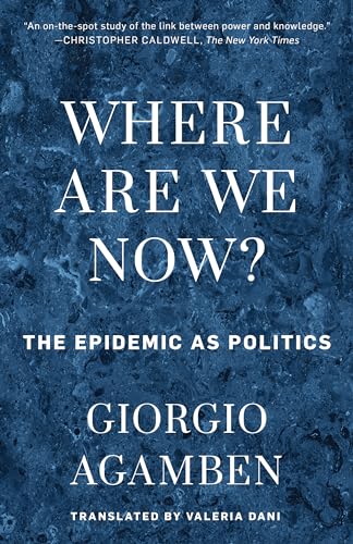 Where Are We Now?: The Epidemic as Politics