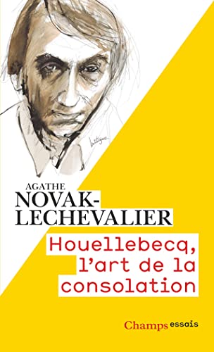 Houellebecq, l'art de la consolation von FLAMMARION
