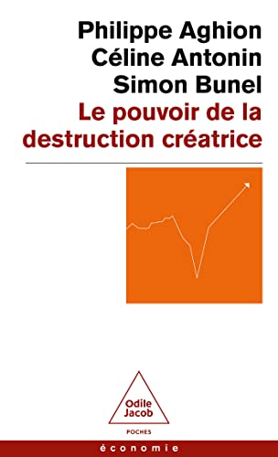 Le Pouvoir de la destruction créatrice von JACOB