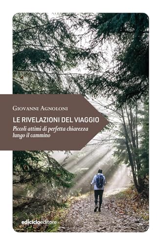 Le rivelazioni del viaggio. Piccoli attimi di perfetta chiarezza lungo il cammino (Piccola filosofia di viaggio) von Ediciclo