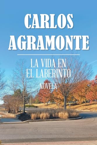 LA VIDA EN EL LABERINTO von Palibrio