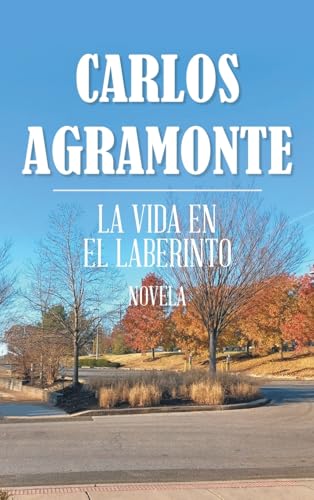 LA VIDA EN EL LABERINTO von Palibrio