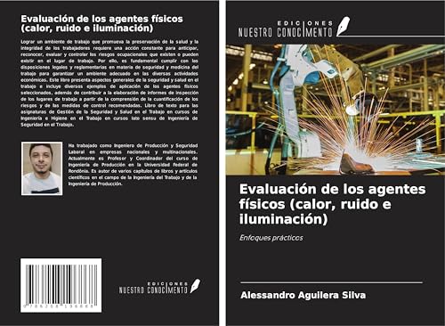 Evaluación de los agentes físicos (calor, ruido e iluminación): Enfoques prácticos