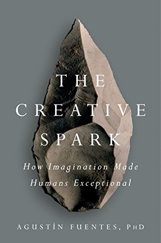 The Creative Spark: How Imagination Made Humans Exceptional von Dutton