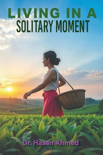 Living in a Solitary Moment von USA Publishing Hub