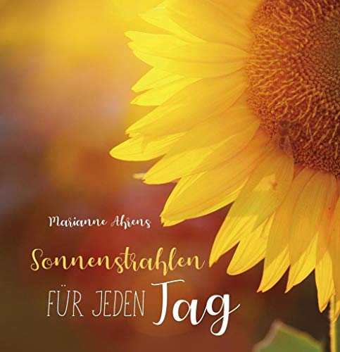 Sonnenstrahlen für jeden Tag (Quadro (kartoniert))