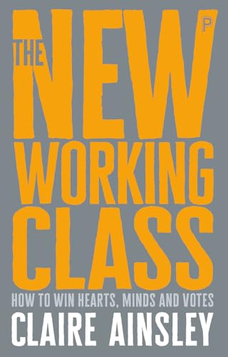 The new working class: How to win hearts, minds and votes von Policy Press