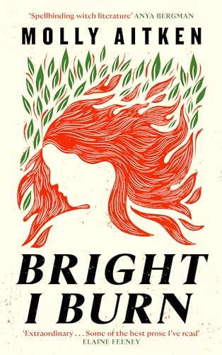 Bright I Burn von Canongate Books