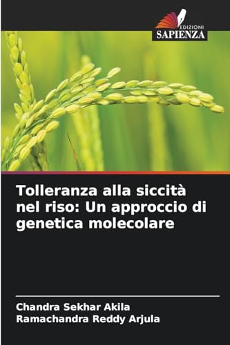 Tolleranza alla siccità nel riso: Un approccio di genetica molecolare: DE von Edizioni Sapienza