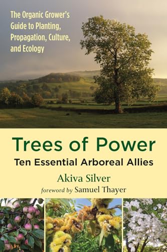 Trees of Power: Ten Essential Arboreal Allies von Chelsea Green Publishing Company