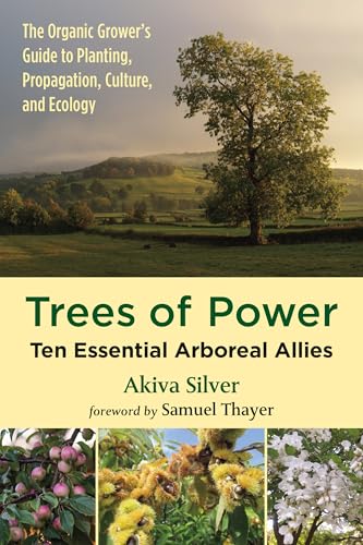 Trees of Power: Ten Essential Arboreal Allies von Chelsea Green Publishing Company