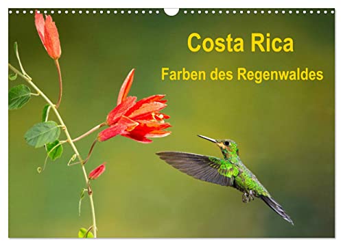 Costa Rica - Farben des Regenwaldes (Wandkalender 2025 DIN A3 quer), CALVENDO Monatskalender von CALVENDO