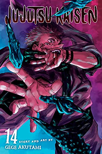 Jujutsu Kaisen, Vol. 14: Volume 14 (JUJUTSU KAISEN GN, Band 14)