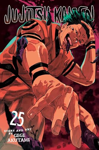 Jujutsu Kaisen, Vol. 25 (JUJUTSU KAISEN GN, Band 25) von Viz LLC
