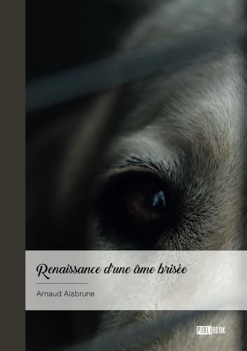 Renaissance d'une âme brisée von Publibook
