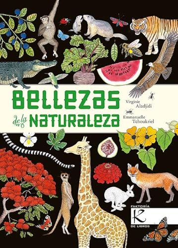 Bellezas de la naturaleza (Ciencia) von Kalandraka