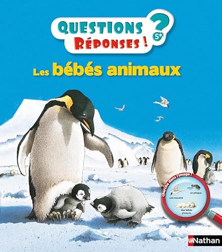 Questions reponses: Les bebes animaux