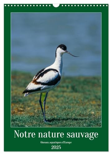 Notre nature sauvage, oiseaux aquatiques d'Europe (Calendrier mural 2025 DIN A3 horizontal), CALVENDO calendrier mensuel: Oiseaux que l'on peut découvrir en Europe von Calvendo