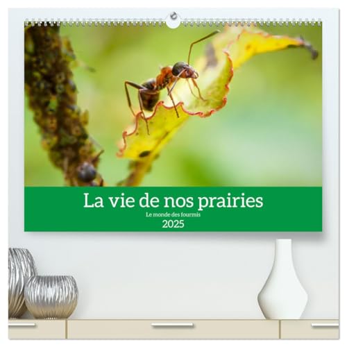 La vie de nos prairies - Le monde des fourmis (hochwertiger Premium Wandkalender 2025 DIN A2 quer), Kunstdruck in Hochglanz von CALVENDO