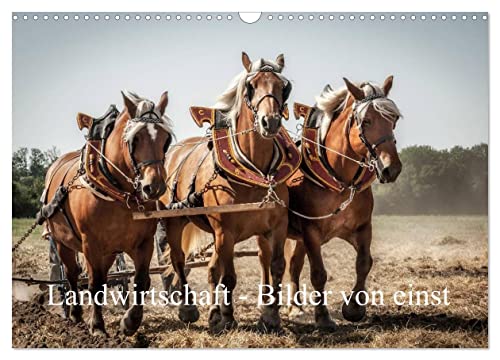 Landwirtschaft - Bilder von einst (Wandkalender 2025 DIN A3 quer), CALVENDO Monatskalender von CALVENDO