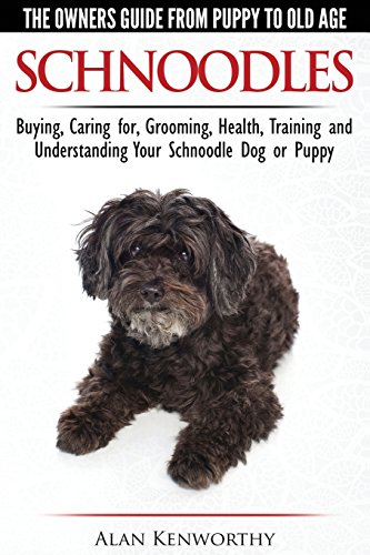 Schnoodles - The Owners Guide from Puppy to Old Age - Choosing, Caring for, Grooming, Health, Training and Understanding Your Schnoodle Dog von CWP Publishing