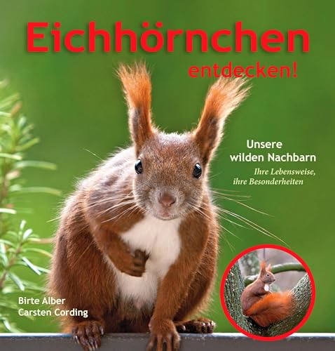 Eichhörnchen entdecken!: Unsere wilden Nachbarn – ihre Lebensweise, ihre Besonderheiten von pala