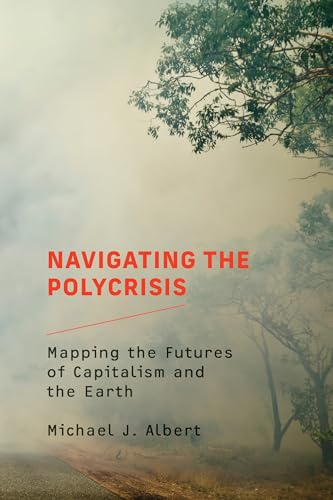 Navigating the Polycrisis: Mapping the Futures of Capitalism and the Earth von The MIT Press
