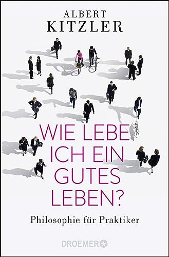 Wie lebe ich ein gutes Leben?: Philosophie für Praktiker