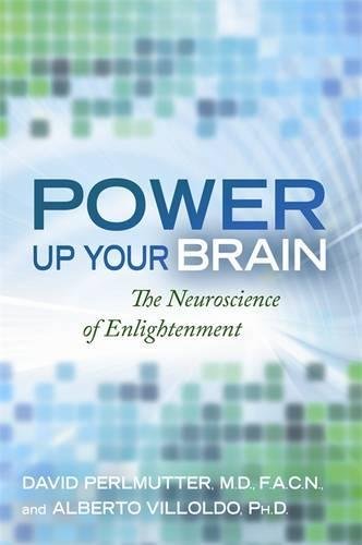Power Up Your Brain: The Neuroscience of Enlightenment von Hay House UK Ltd