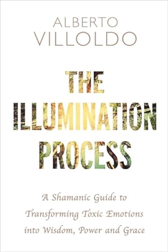 The Illumination Process: A Shamanic Guide to Transforming Toxic Emotions into Wisdom, Power and Grace von Hay House Uk