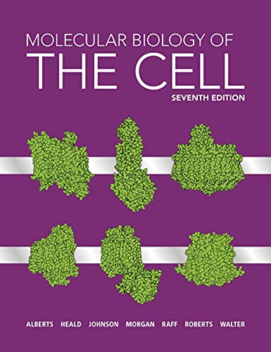 Molecular Biology of the Cell von W. W. Norton & Company