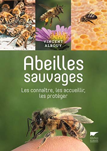 Abeilles sauvages: Les connaître, les accueillir, les protéger von DELACHAUX et NIESTLE