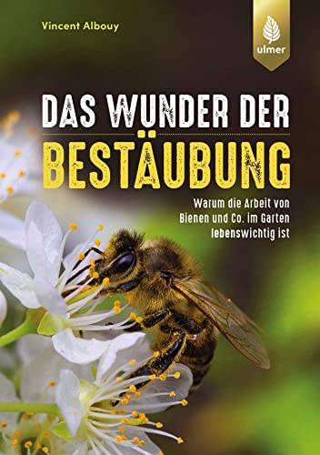 Das Wunder der Bestäubung: Warum die Arbeit von Bienen und Co. im Garten lebenswichtig ist