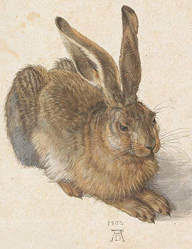 Albrecht Dürer LARGE Notebook #2: Hare Albrecht Durer Notebook College Ruled to Write in 8.5x11" LARGE 100 Lined Pages