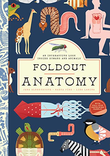 Foldout Anatomy: An Interactive Look Inside Humans and Animals von GLOBAL PUBLISHER SERVICES