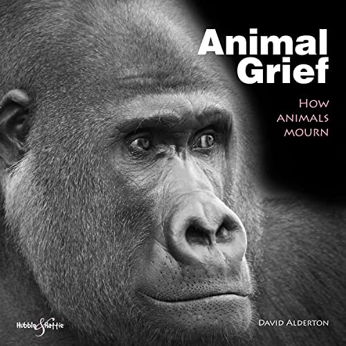 Animal Grief: How Animals Mourn