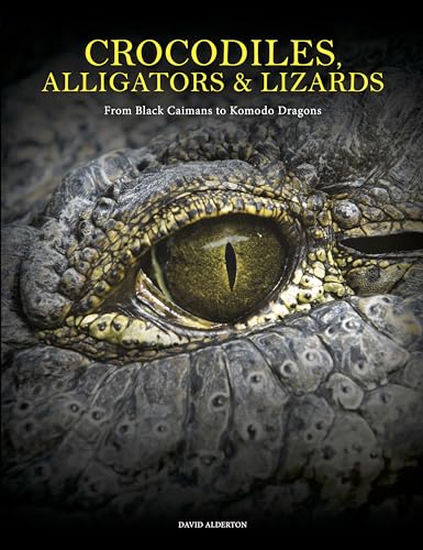 Crocodiles, Alligators & Lizards: From Black Caimans to Komodo Dragons (Animals in Photographs)