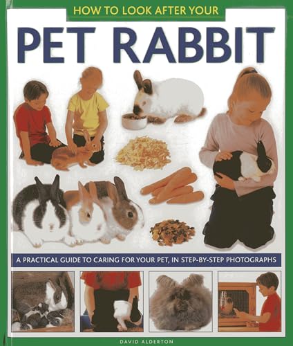 How to Look After Your Pet Rabbit: A Practical Guide to Caring for Your Pet, in Step-by-step Photographs von Armadillo Music